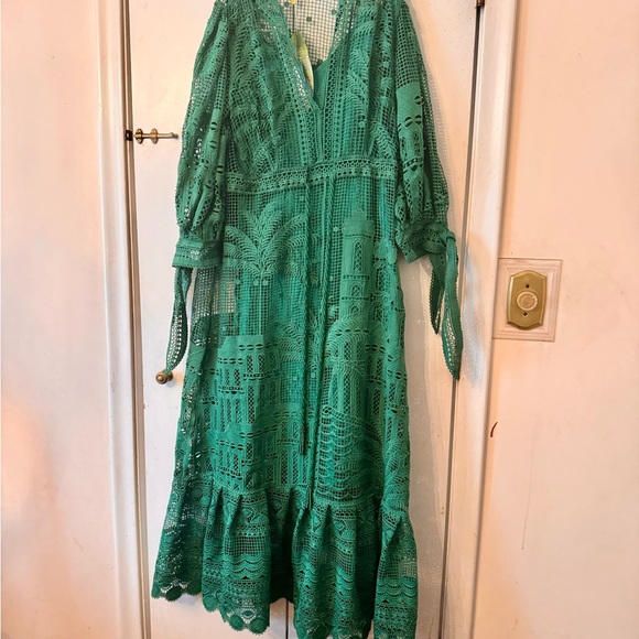 FARM Rio Green Morada Boa Guipure Lace Maxi Dress - Picture 10 of 16